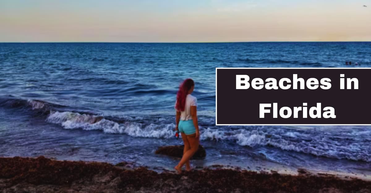 Florida Beaches for Family