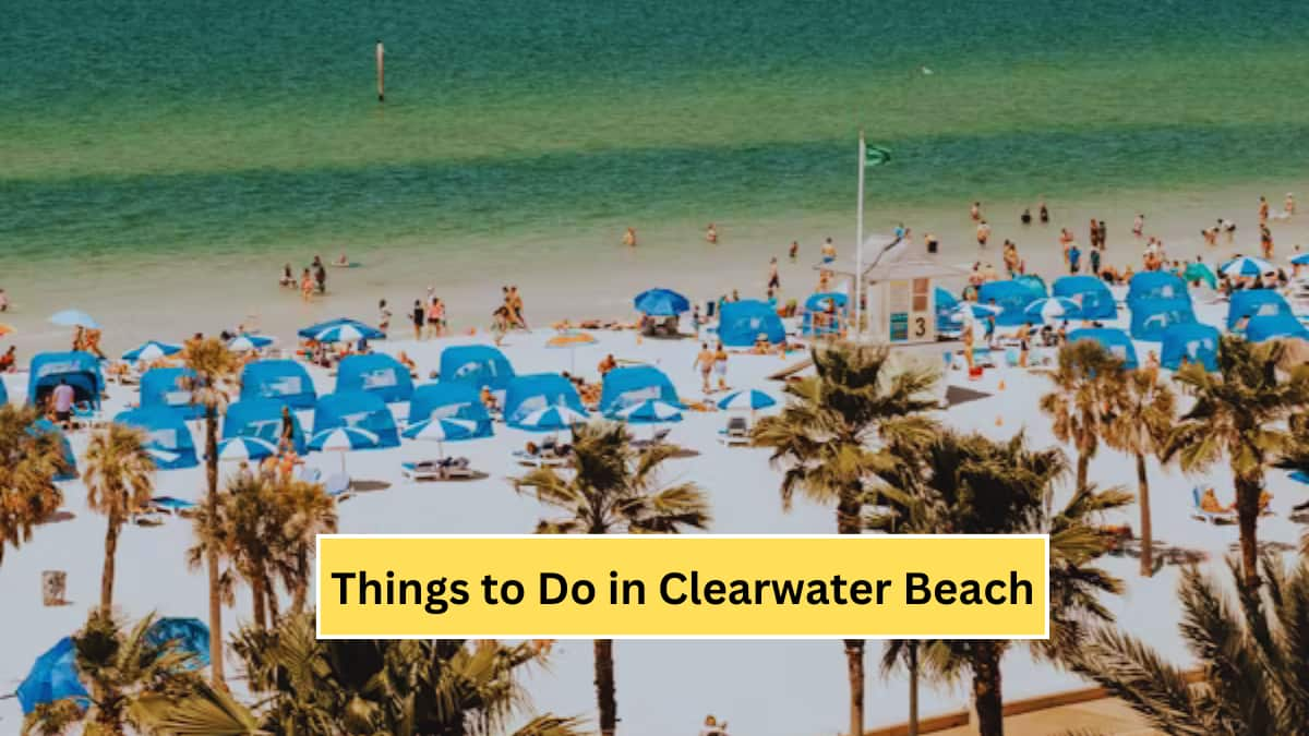 Things to Do in Clearwater Beach