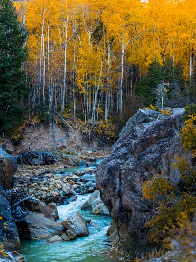 8 incredible Wyoming hikes for 2024