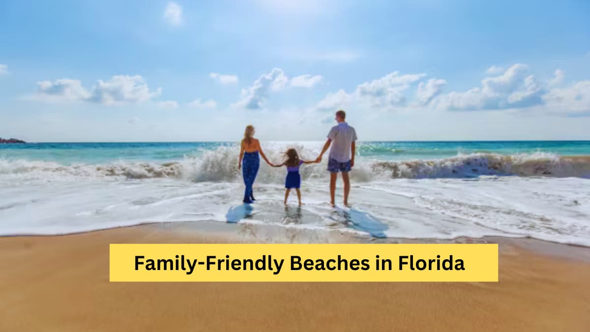 Best Family-Friendly Beaches in Florida